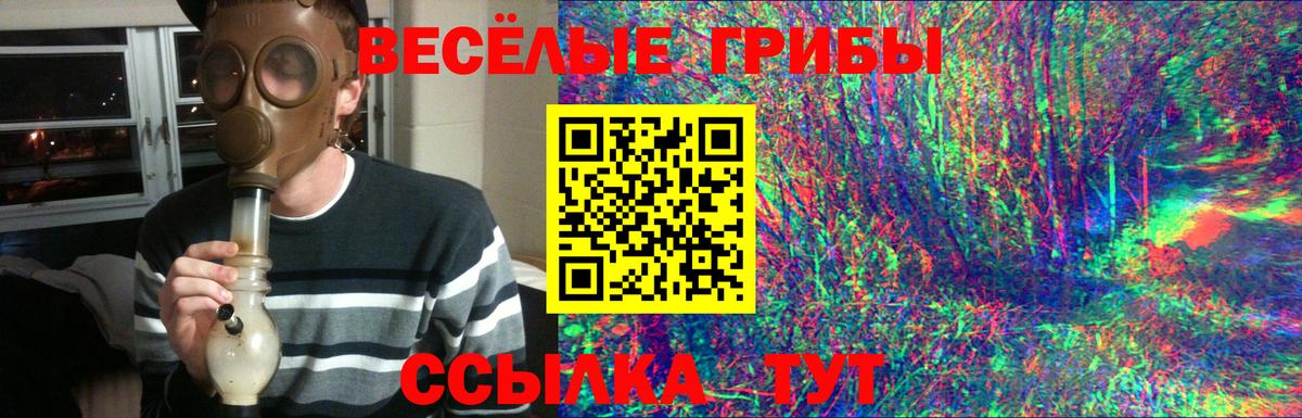 Брянск  Псилоцибиновые грибы мухоморы  Вход с VPN  Псилоцибиновые грибы мухоморы 